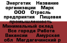 Энергетик › Название организации ­ Марк 4, ООО › Отрасль предприятия ­ Пищевая промышленность › Минимальный оклад ­ 1 - Все города Работа » Вакансии   . Амурская обл.,Магдагачинский р-н